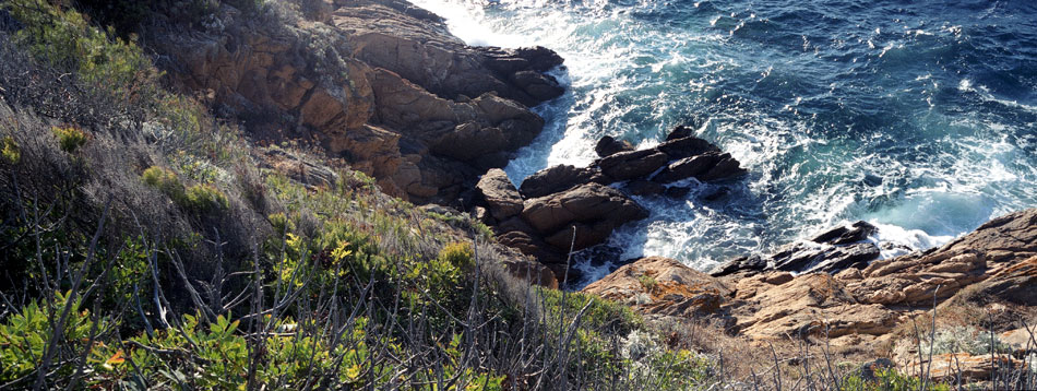 Jeudi 9 août 2007 (4), bord de mer à l'île du Levant.