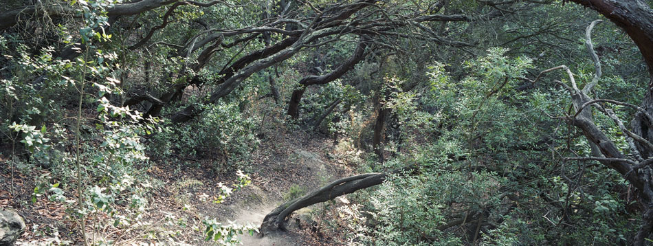 Lundi 13 août 2007 (5), le domaine des Arbousiers à l'île du Levant.