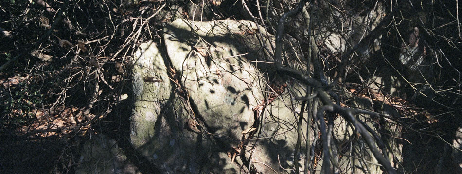 Lundi 13 août 2007 (7), le domaine des Arbousiers à l'île du Levant.