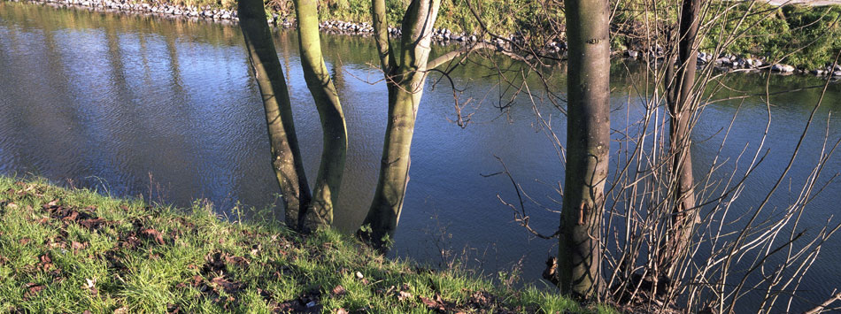 Samedi 15 décembre 2007 (2), le canal de Roubaix.