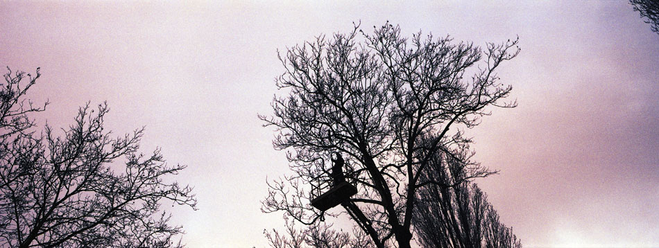 Vendredi 14 décembre 2007, av. de Flandre, à Marcq en Baroeul.