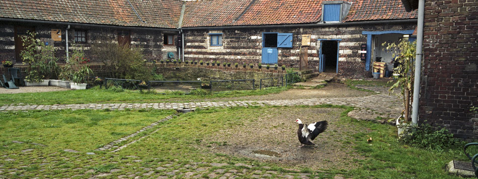 Vendredi 12 octobre 2007, la ferme Dehaudt, à Wasquehal.