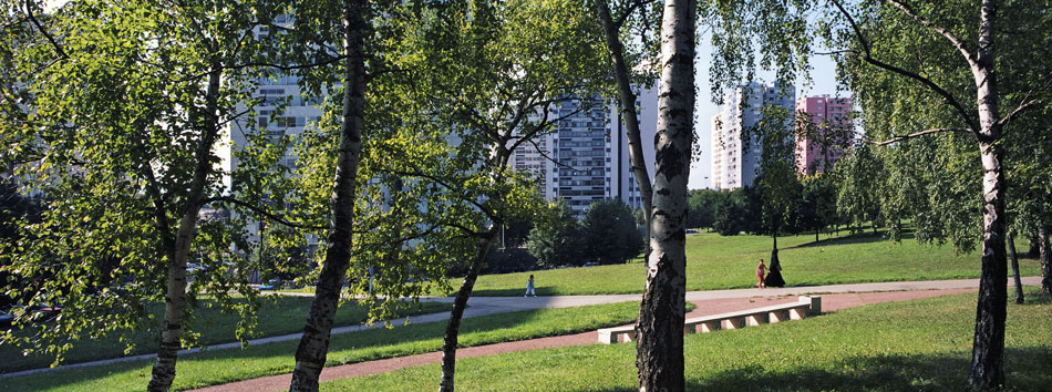 Mercredi 27 août 2008, parc des Minguettes, à Vénissieux.