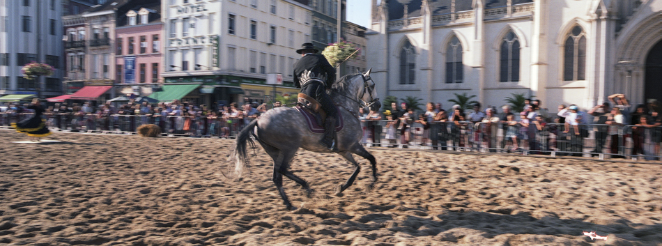 Samedi 30 août 2008, les Cavalcades, Grande place, à Roubaix.