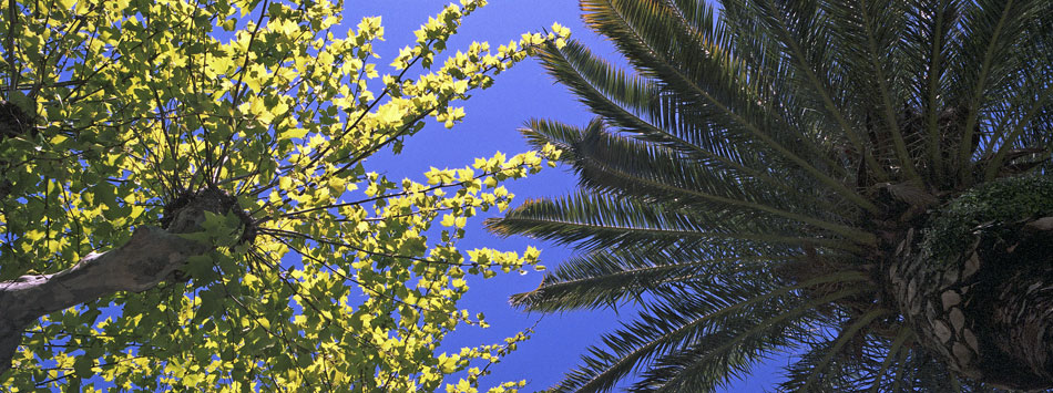 Mardi 15 avril 2008, port du Lavandou.