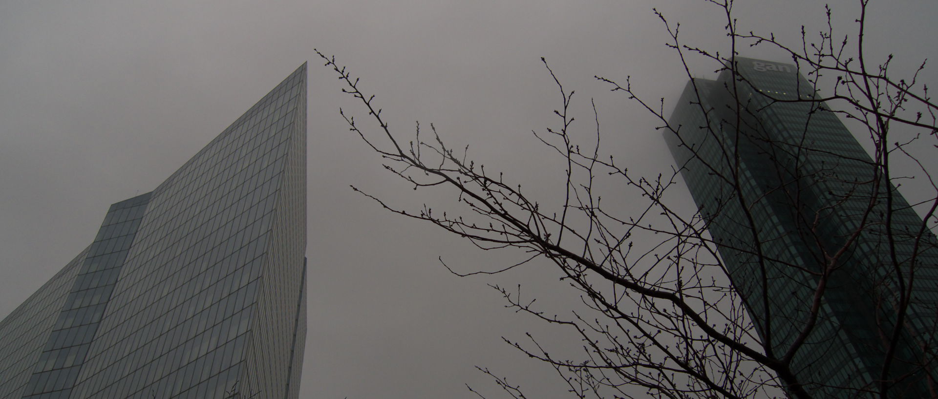 Dimanche 14 décembre 2008 (3), esplanade de Paris la Défense.