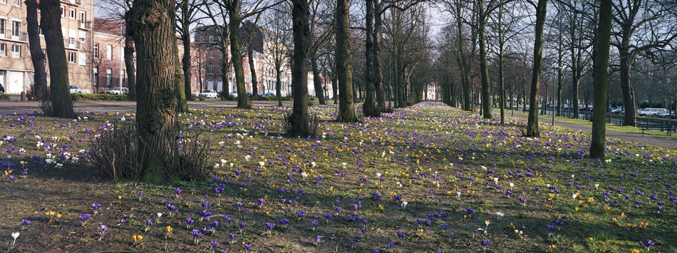 Lundi 25 février 2008, façade de l'Esplanade, à Lille.