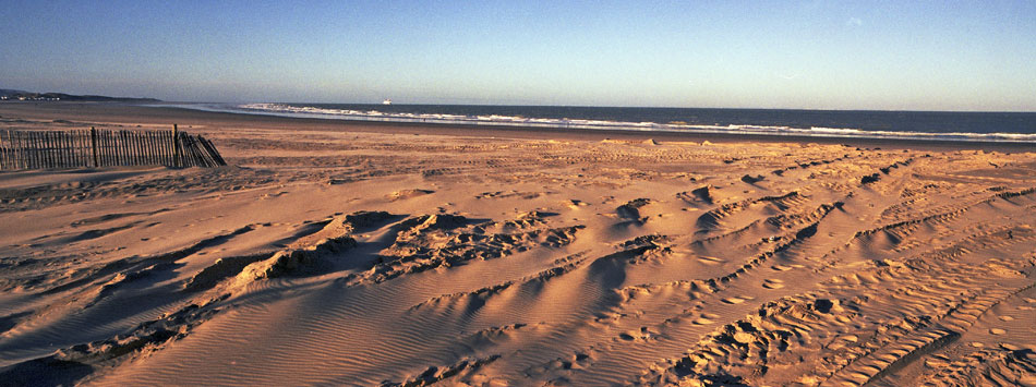 Samedi 12 janvier 2008 (3), la plage de Calais.