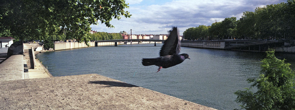 Lundi 21 juillet 2008 (2), pont de la Feuillée, sur la Saône, à Lyon.