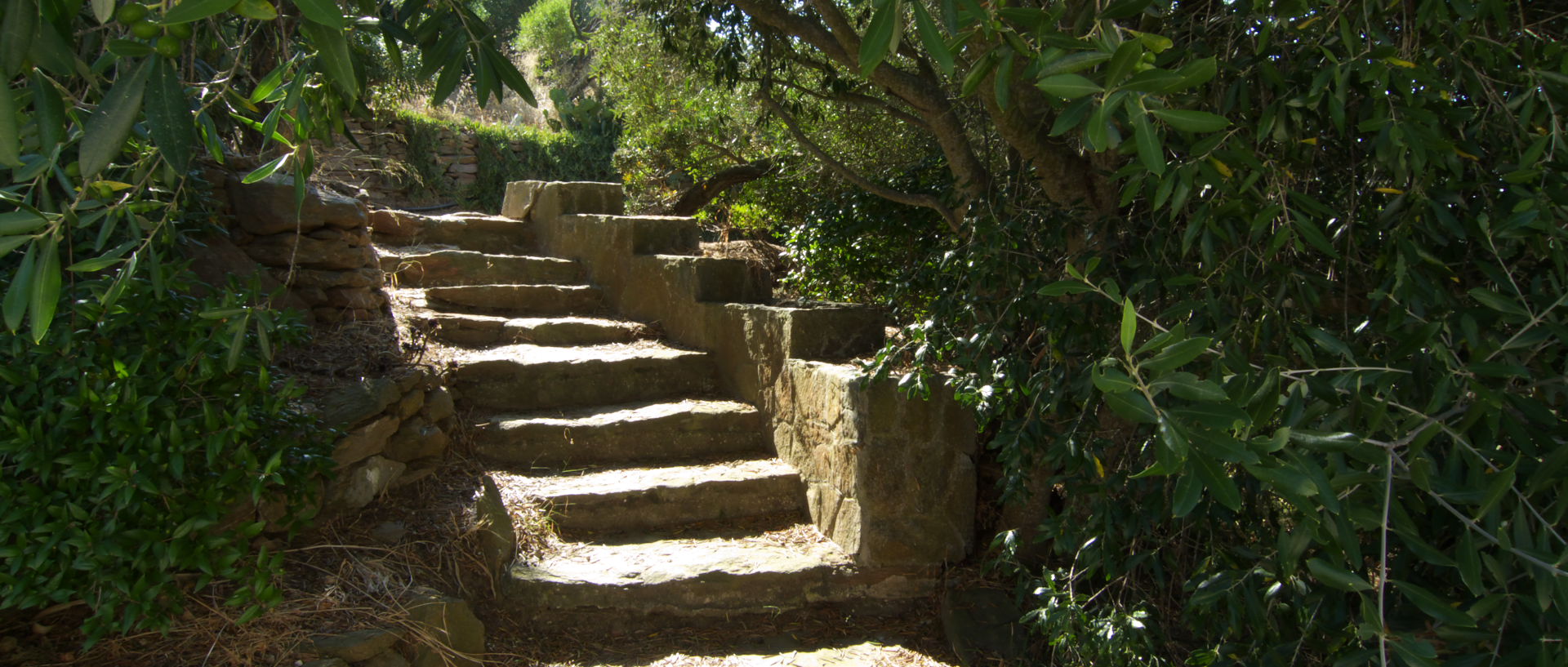 Photo villa cocagne, île du Levant, Héliopolis.