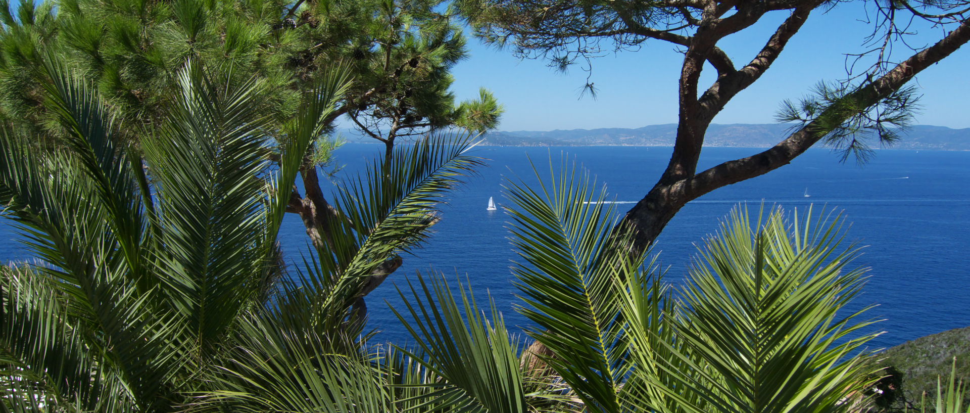 Photo de paysage, île du Levant, Héliopolis, corniche des Arbousiers.