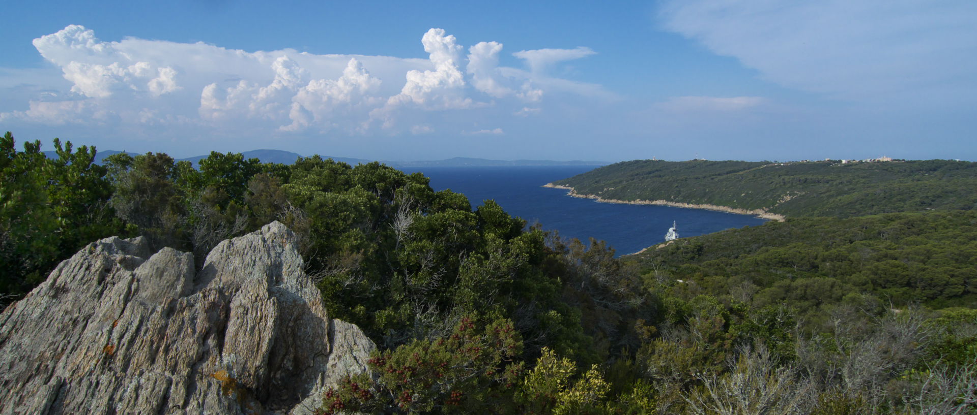 Photo de paysage, île du Levant, domaine des Arbousiers.