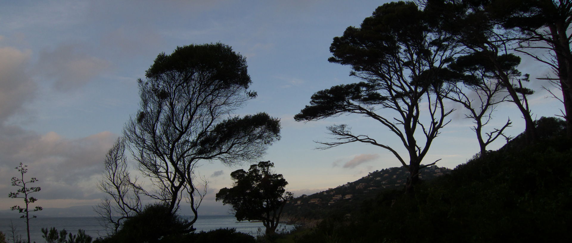 Jeudi 1er janvier 2009 16:25, à Héliopolis, île du Levant.