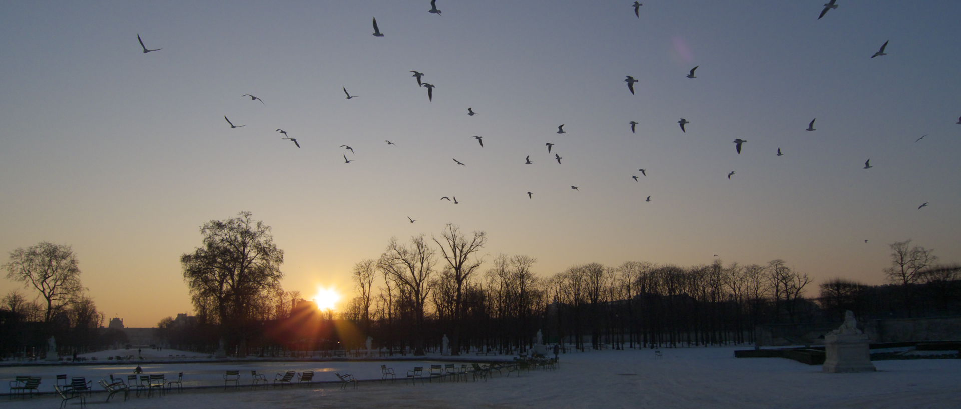 Vendredi 9 janvier 2009, 9:14, jardin des Tuileries, à Paris.