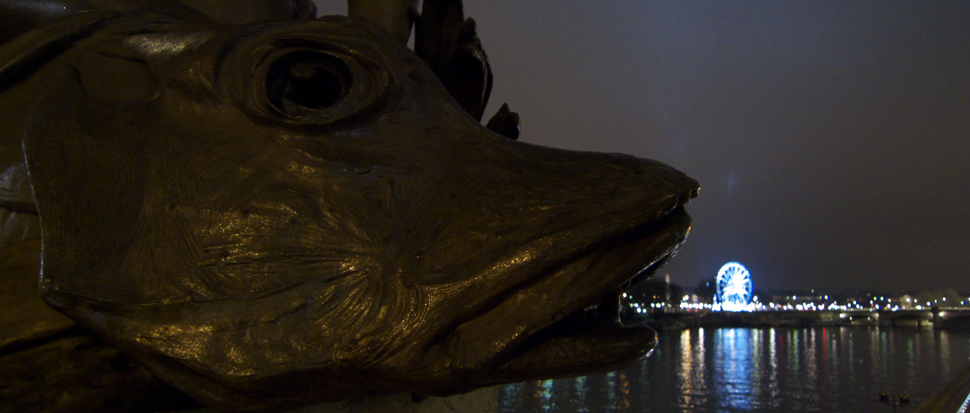 Mardi 13 janvier 2009, 21:13, pont Alexandre III, à Paris.