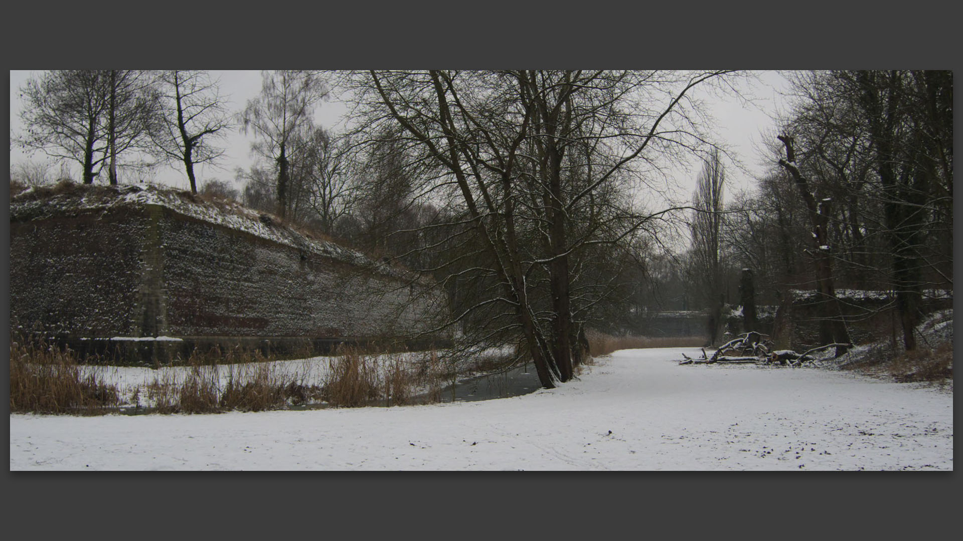 La citadelle, à Lille.