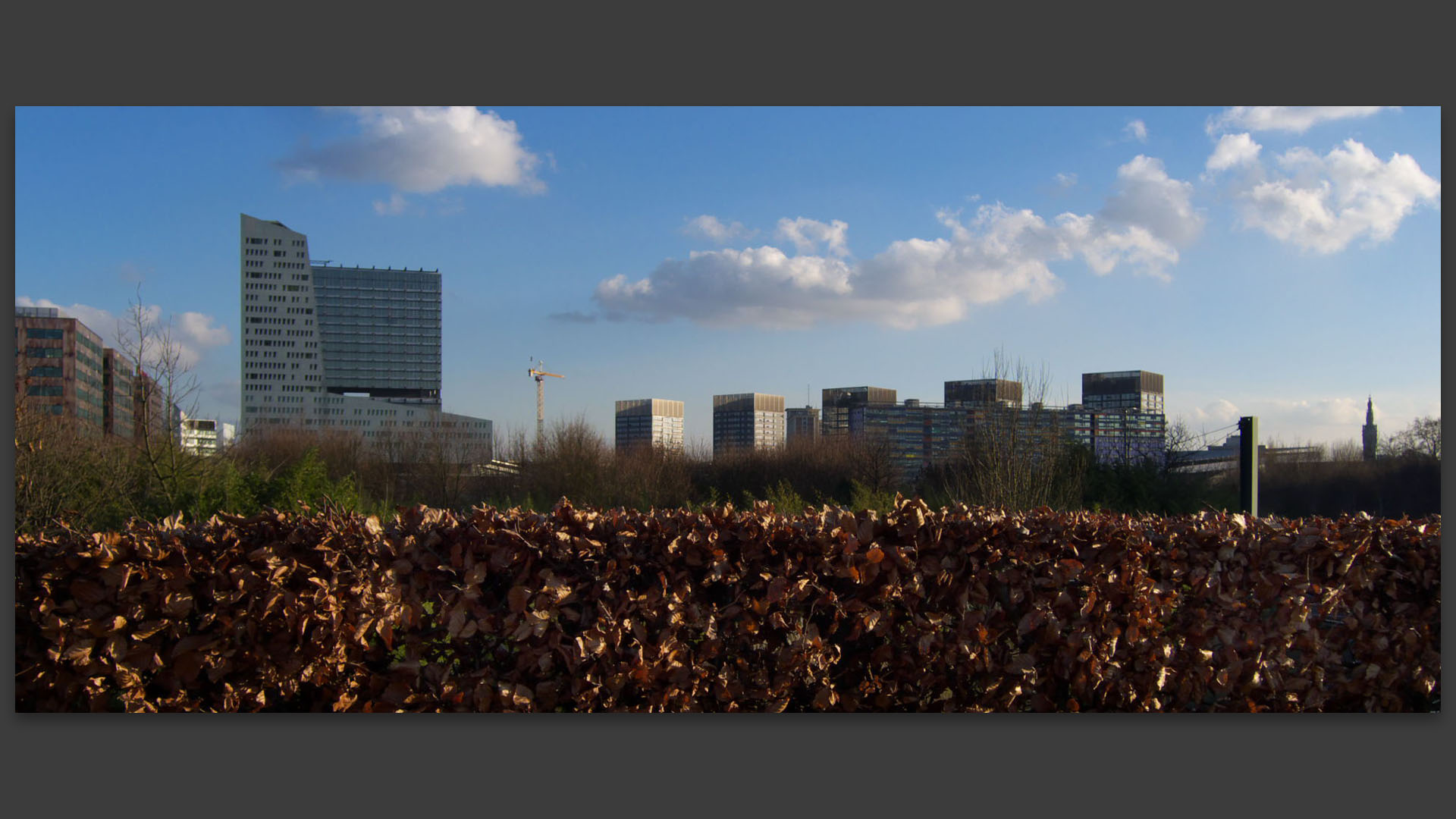 Boulevard Carnot, à Lille.