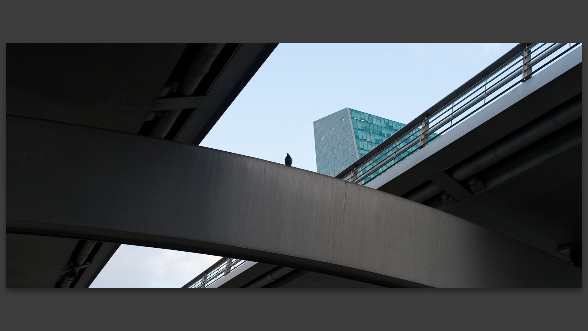 Avenue Le-Corbusier, à Lille.