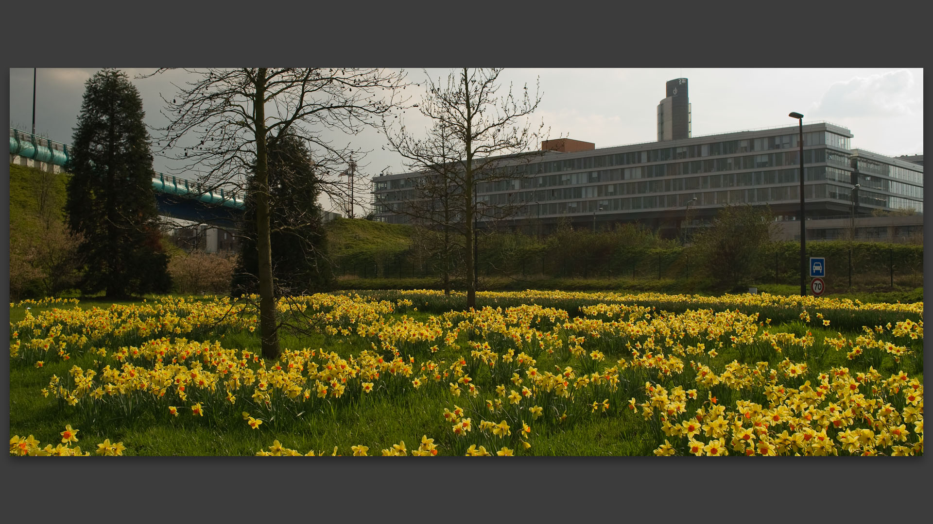 Parterre de fleurs devant le siège du conseil régional Nord Pas de Calais, à Lille.