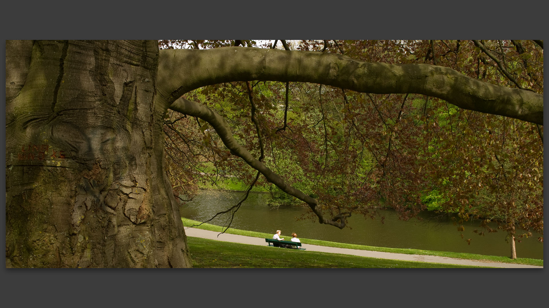 Au parc Barbieux, à Roubaix.