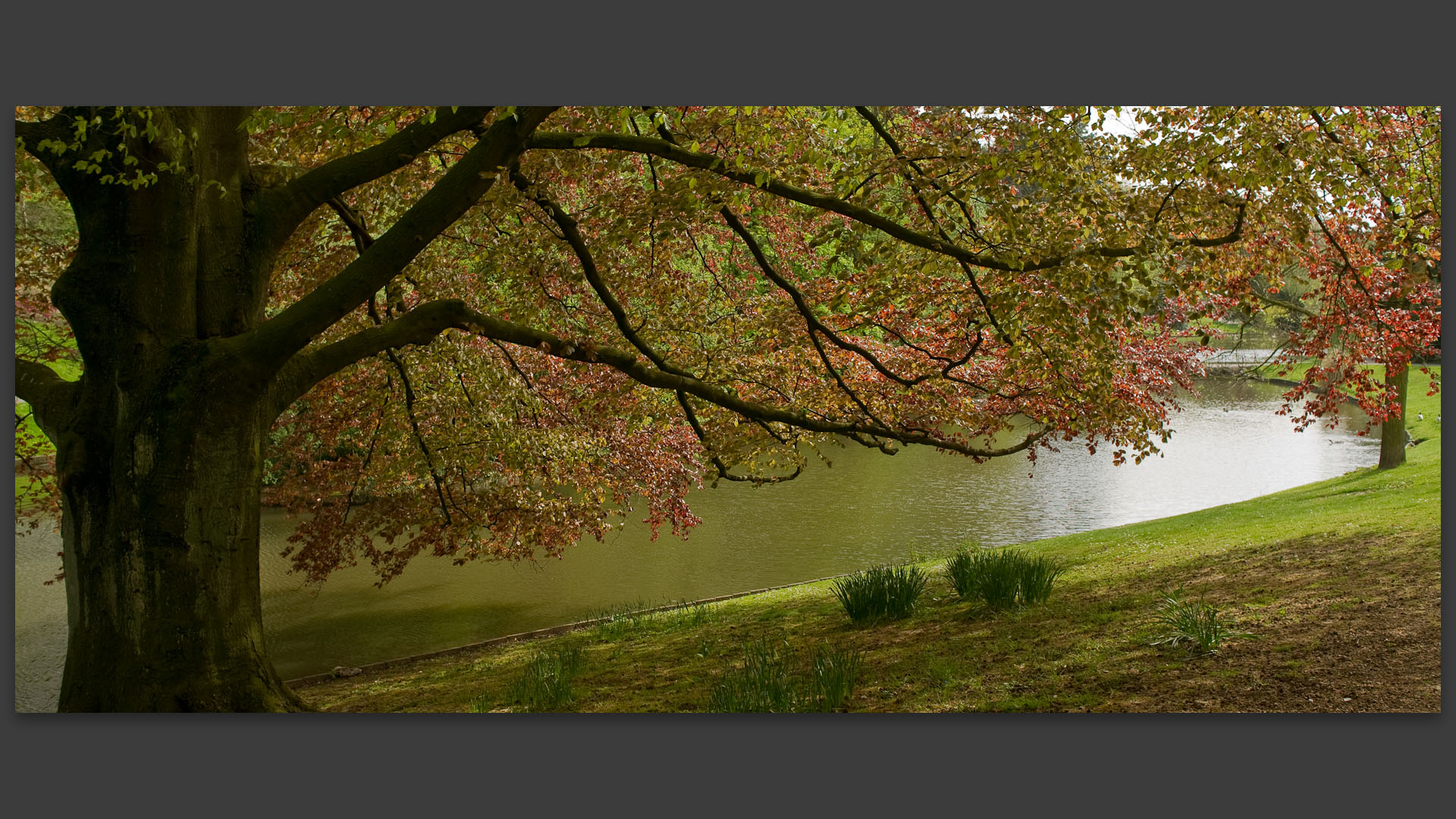 Au parc Barbieux, à Roubaix.