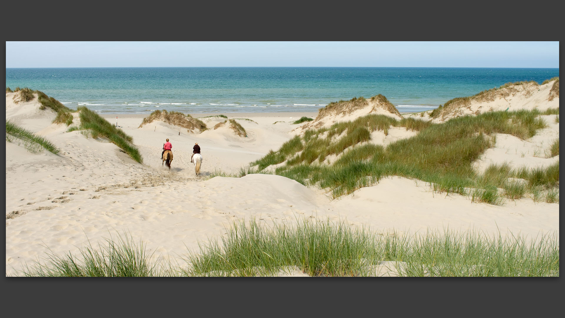 Cavaliers dans les dunes de la côte Picarde.