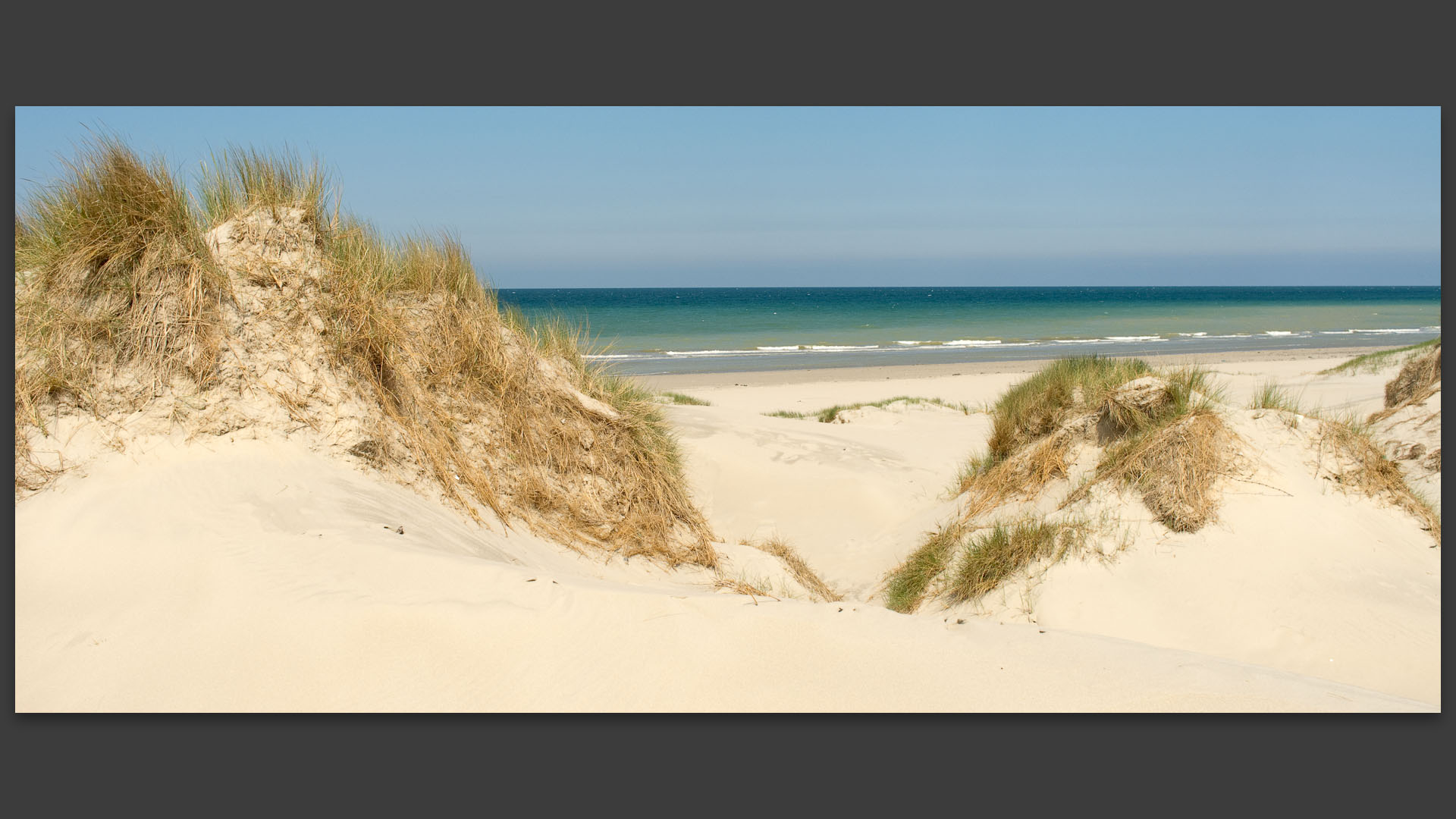 Dunes de la côte Picarde.