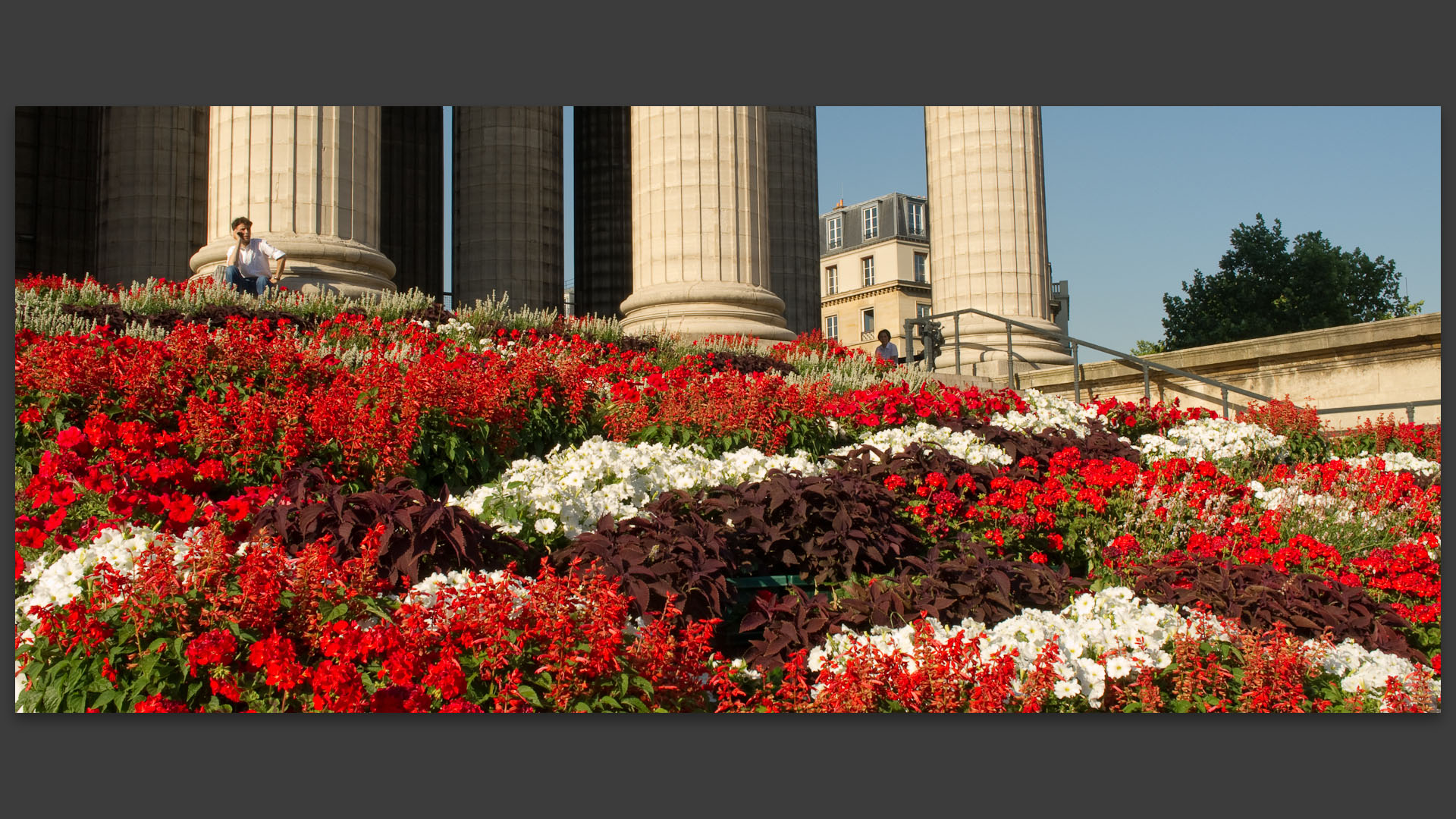 Parterre de fleurs, église de la Madeleine, à Paris.