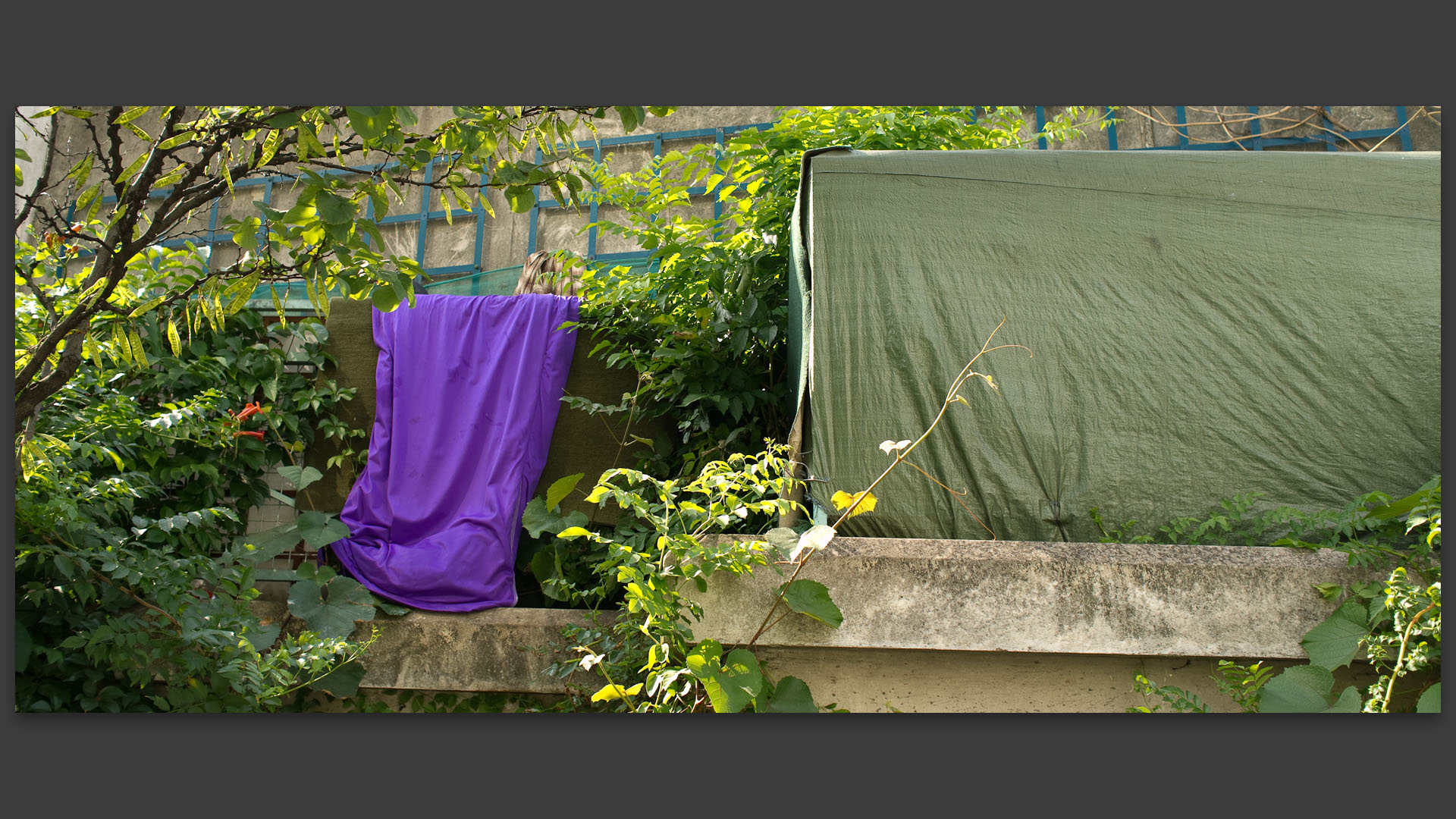 Campement de SDF, quai de Grenelle, à Paris.