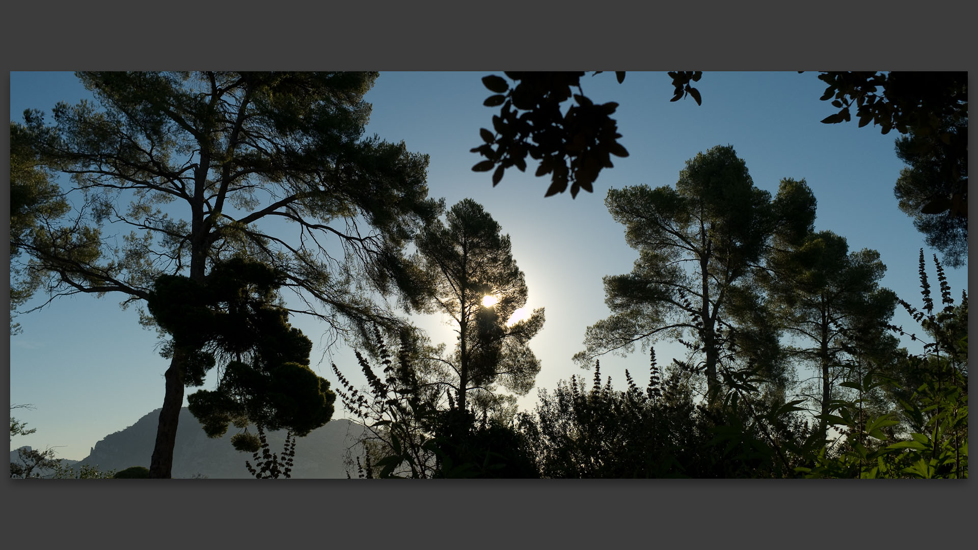 Chateauvallon, dans le Var.