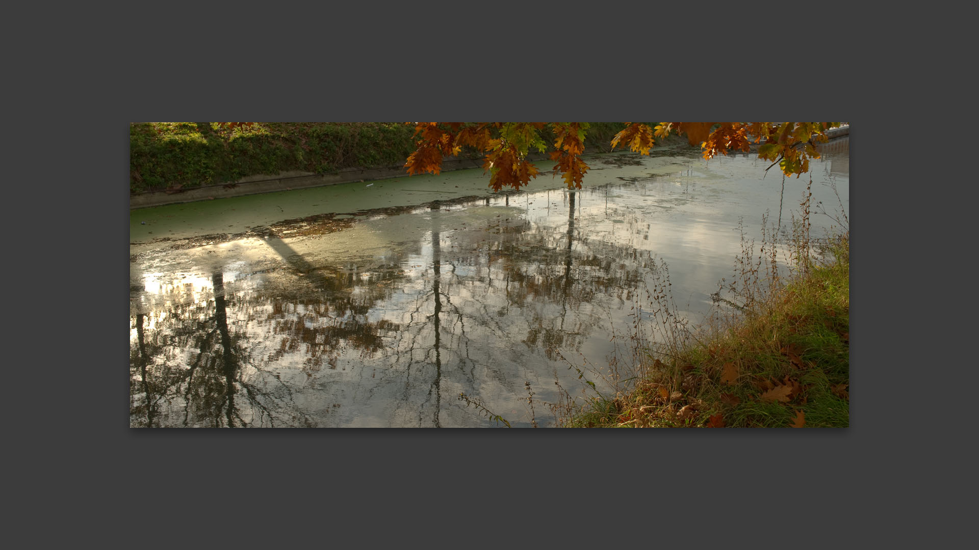 Reflets dans le canal de Roubaix.