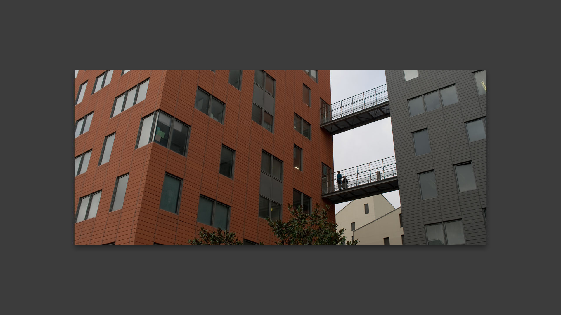 Les nouveaux locaux de l'université Denis-Diderot, Paris VII, rue Alice-Domon et Léonie-Duquet, à Paris.