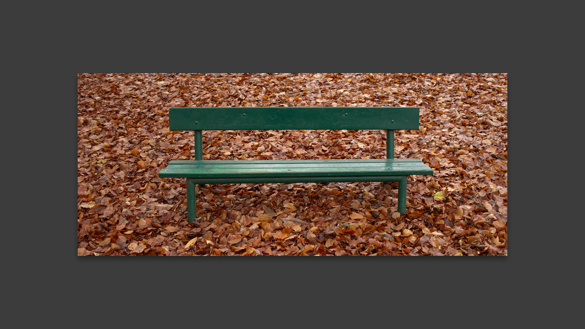 Banc vert sur tapis de feuilles mortes, parc Barbieux, à Roubaix.