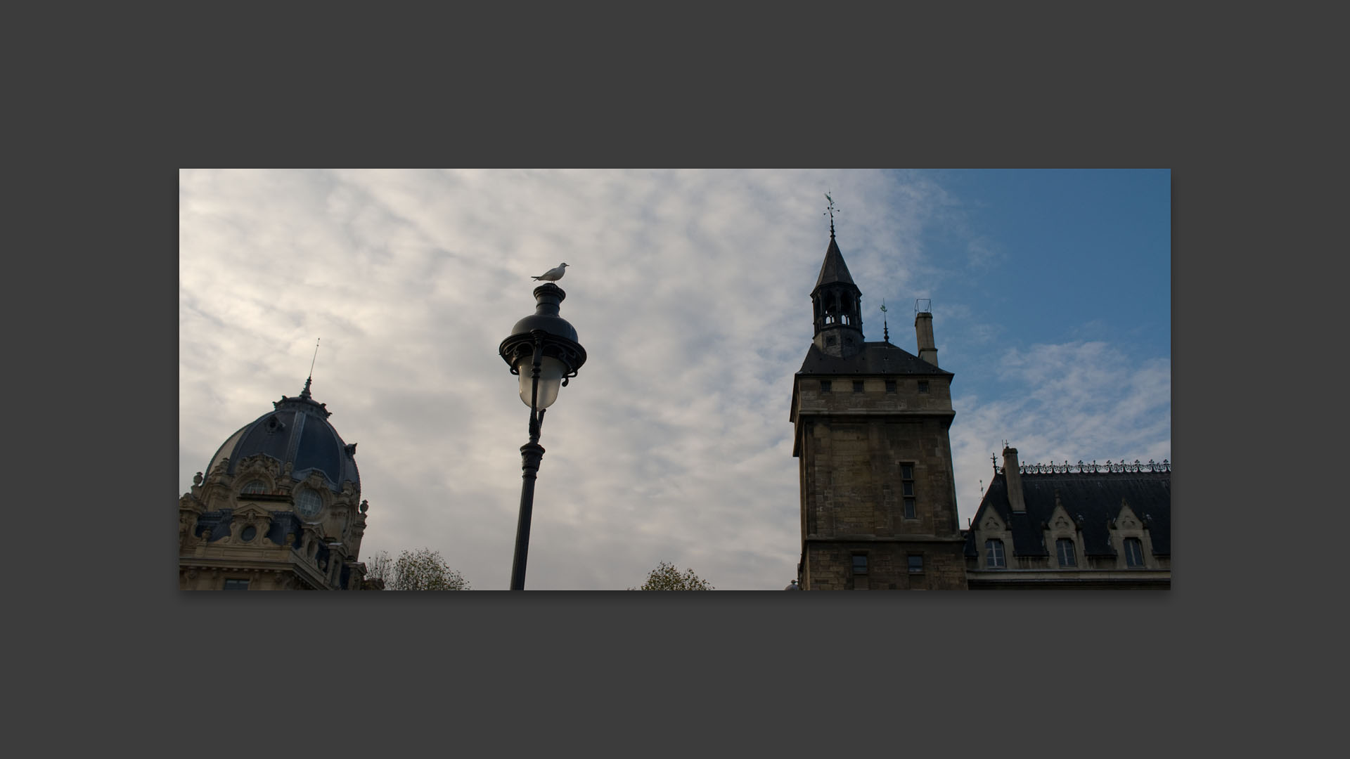 Oiseau sur un lampadaire, pont au Change, à Paris.