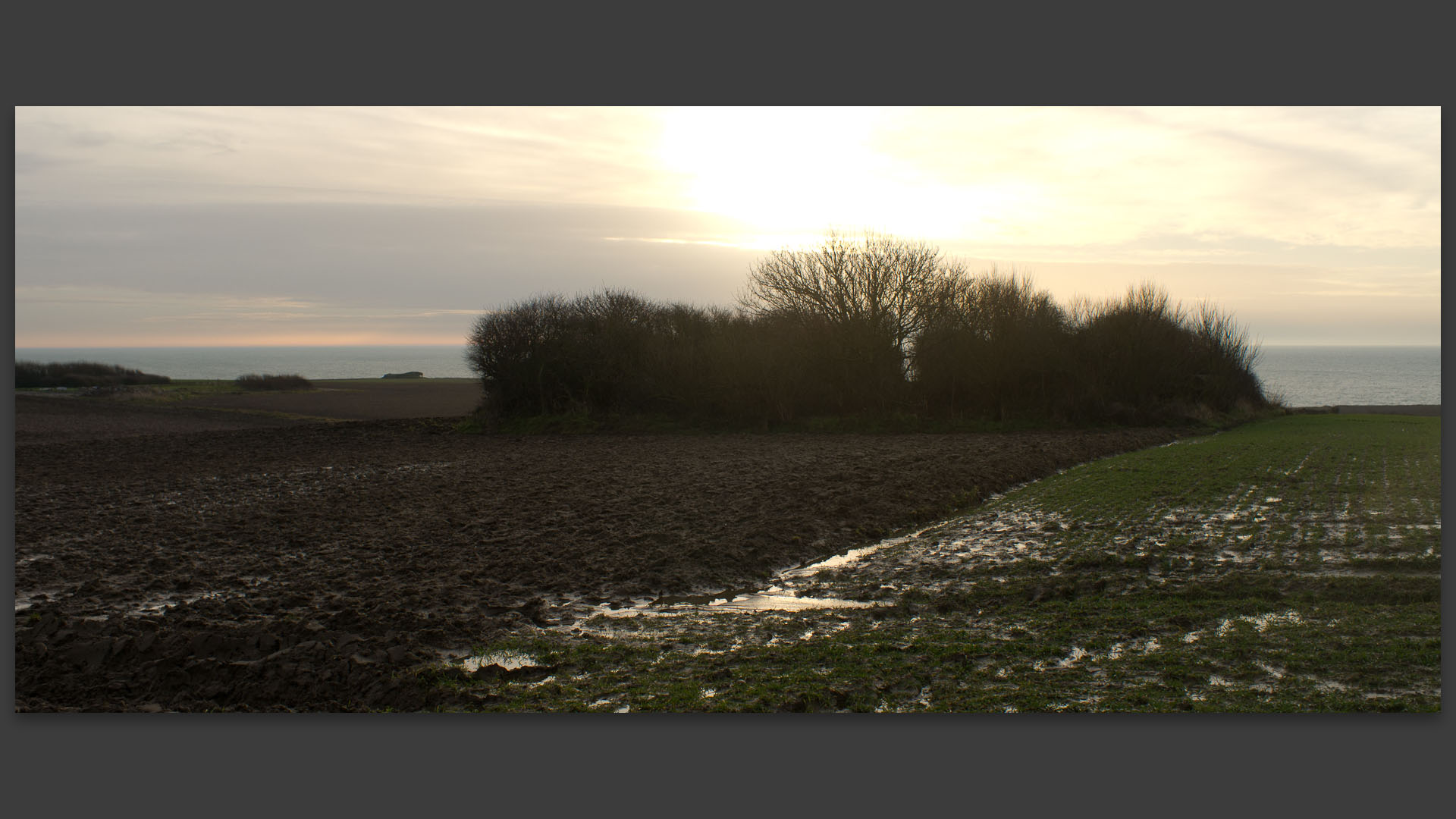 Paysage de campagne entre le cap Gris-Nez et le cap Blanc-Nez.