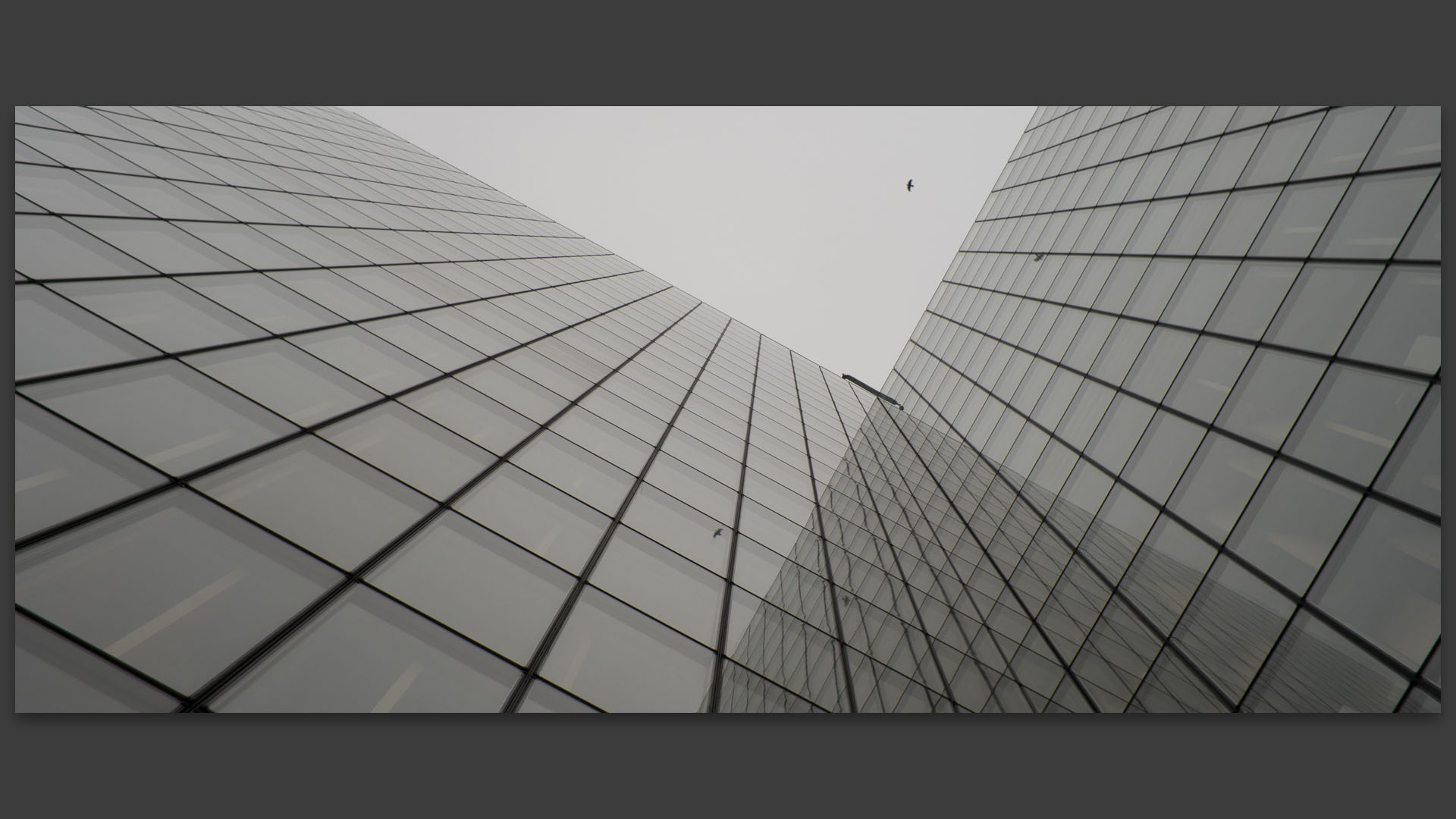 La Bibliothèque nationale de France, François-Mitterrand, à Paris.