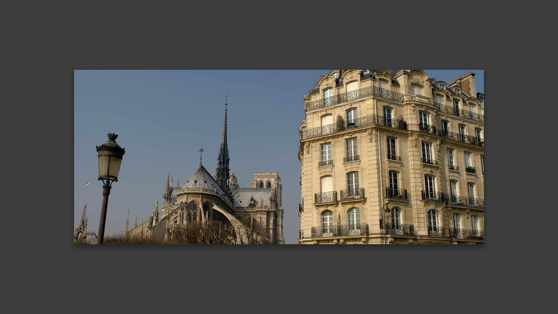 L'arrière de Notre Dame, île de la Cité, à Paris.