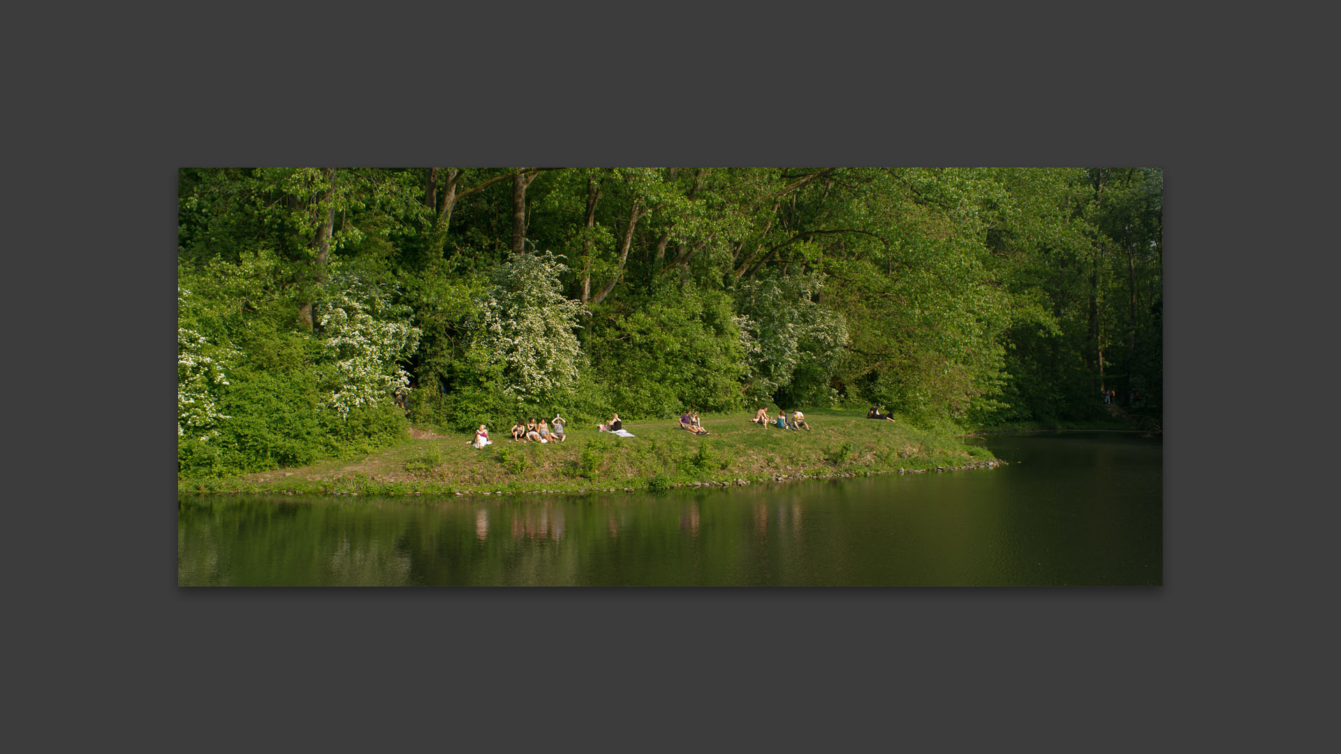 Détente au parc du Héron, à Villeneuve d'Ascq.