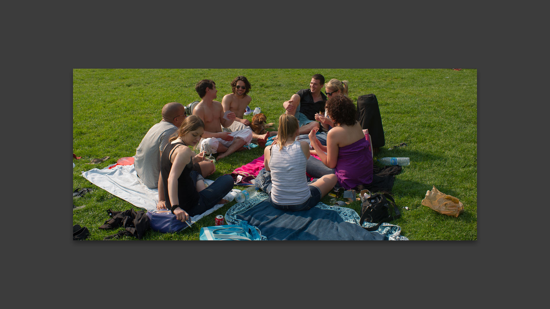 Partie de cartes, au parc du Héron, à Villeneuve d'Ascq.