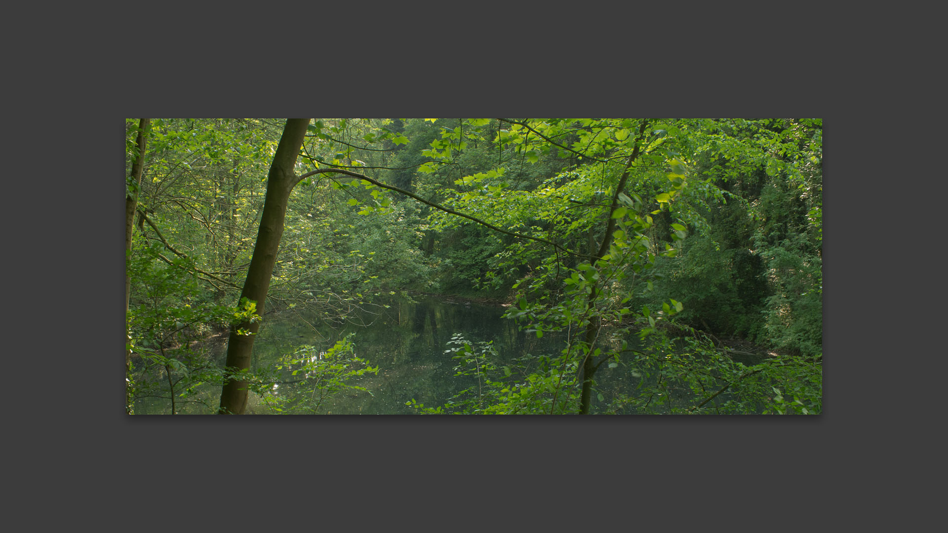 Au coeur du parc du Héron, à Villeneuve d'Ascq.