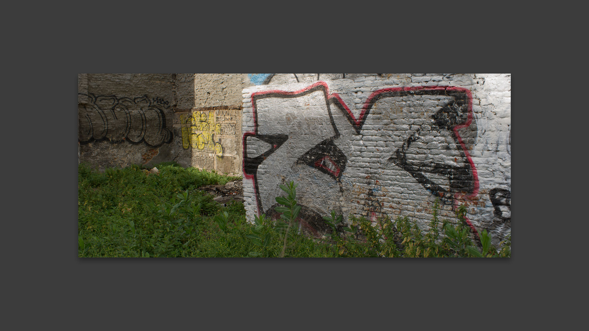 Vieux murs tagués, rue de Metz, à Lille.