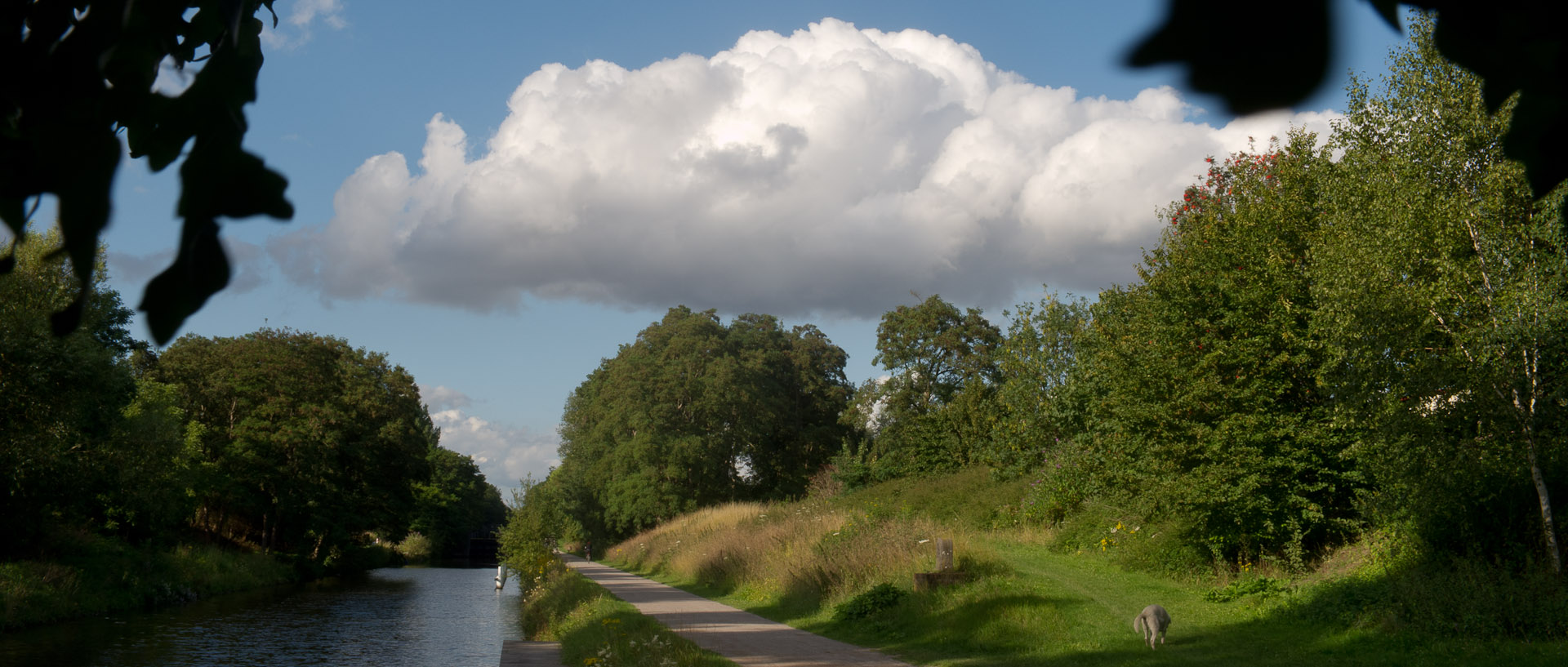 Le canal de Roubaix, à Wasquehal.