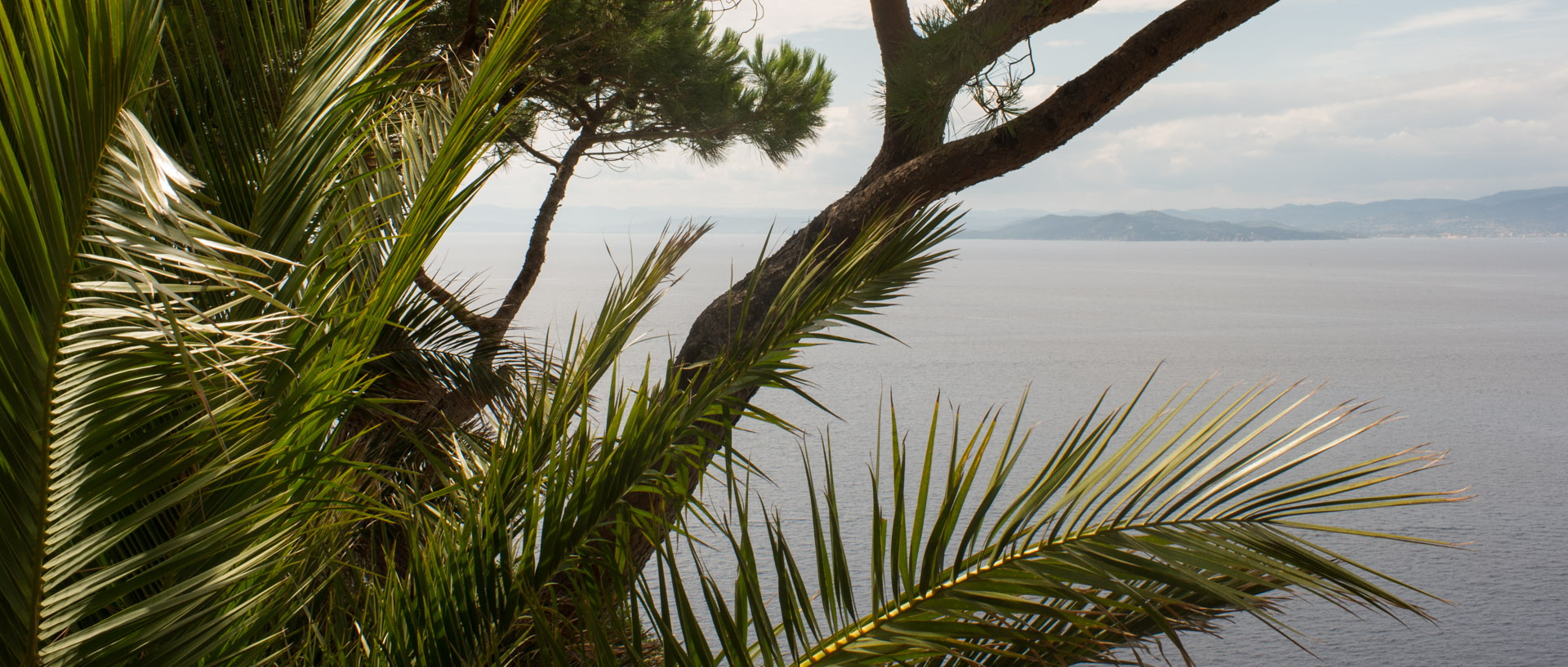 Paysage à l'île du Levant.