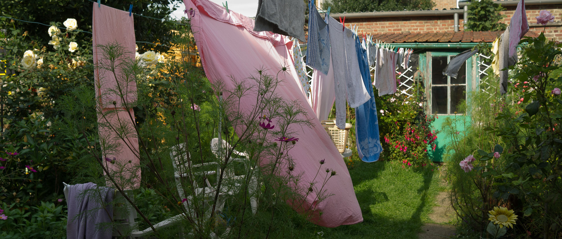 Linge dans un jardin, à Croix.