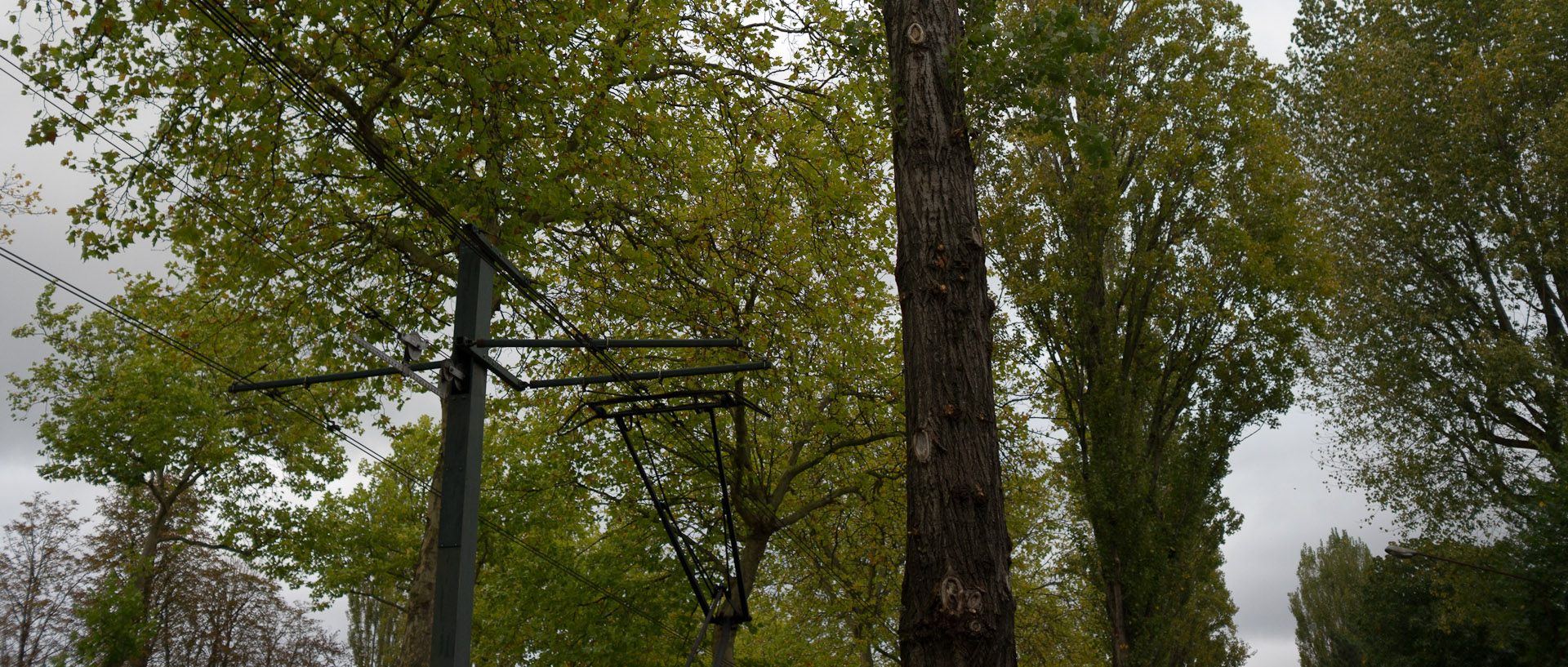 Passage du tramway sur le grand boulevard, avenue de la Marne, à Wasquehal.