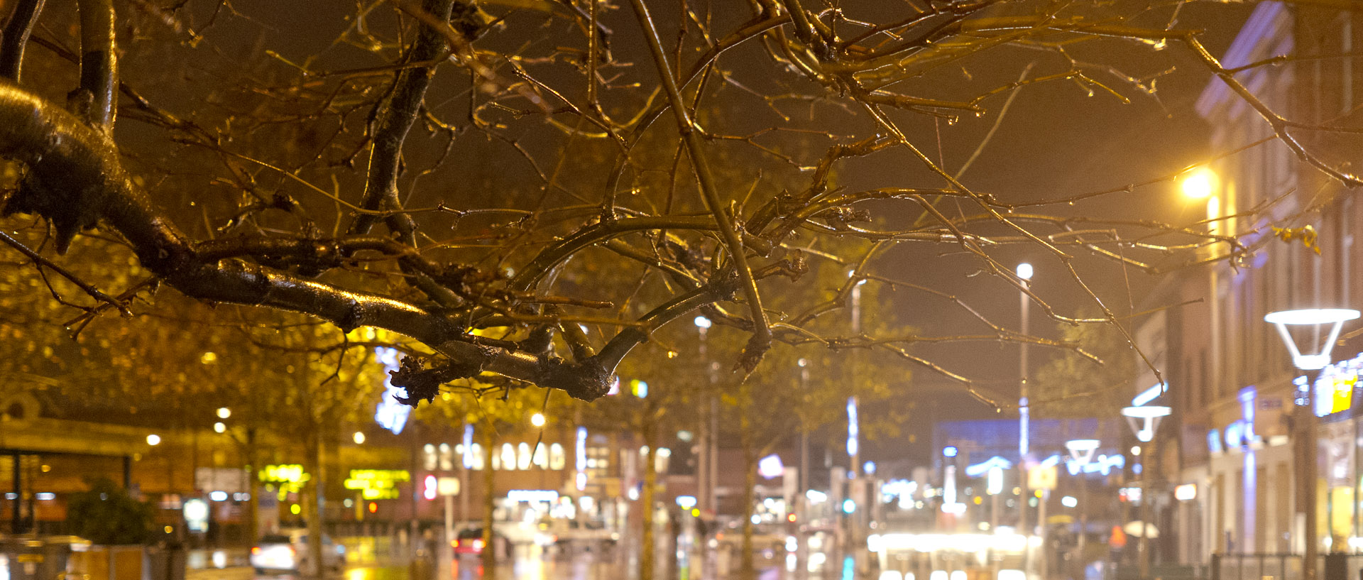 Variation sur une branche d'arbre, place de la Liberté, à Roubaix.