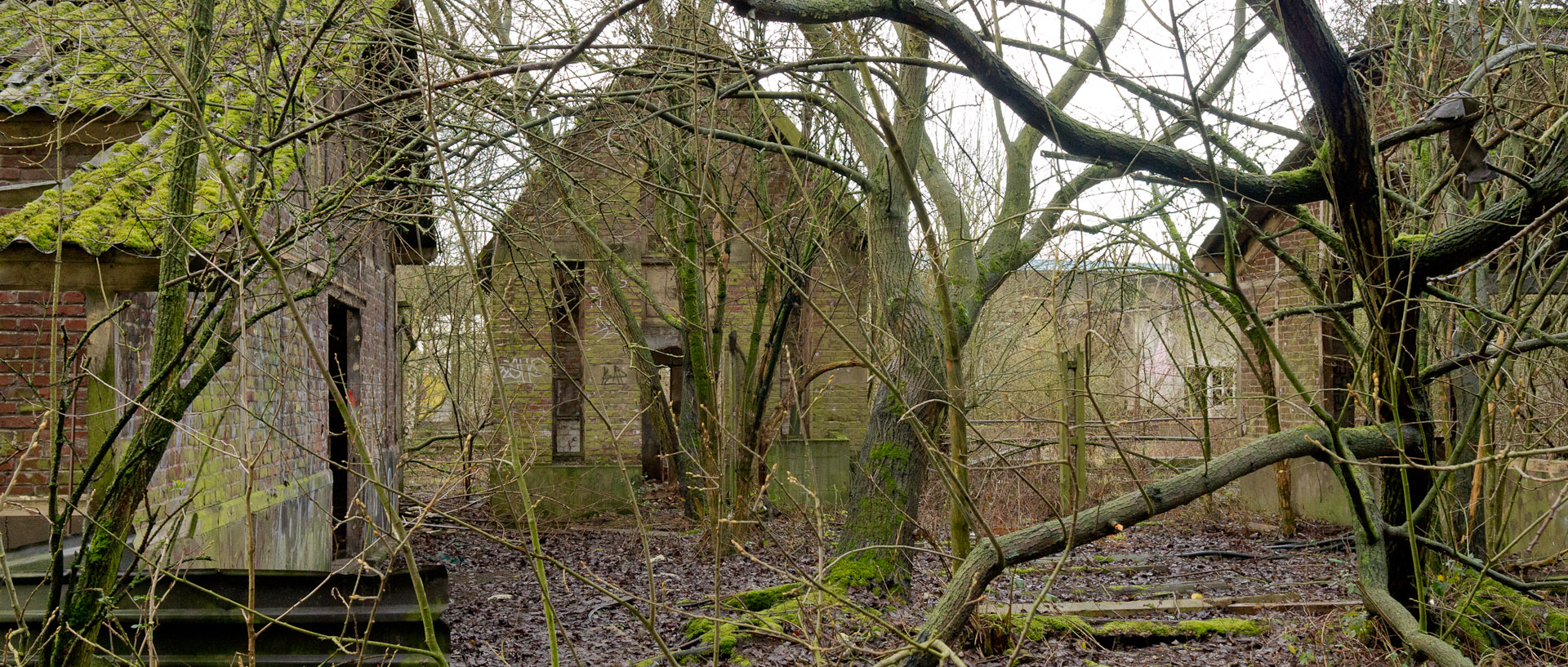 Les ruines des Grands Moulins de Paris, à Marquette lez Lille.