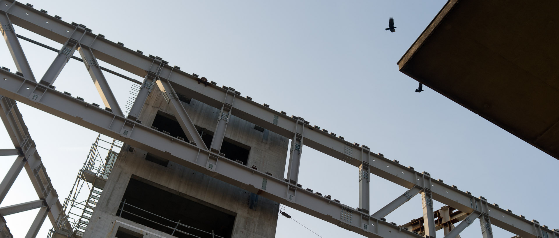 Le chantier du siège d'Euronews sur le site de Lyon Confluence, dans la presqu'île de Lyon.