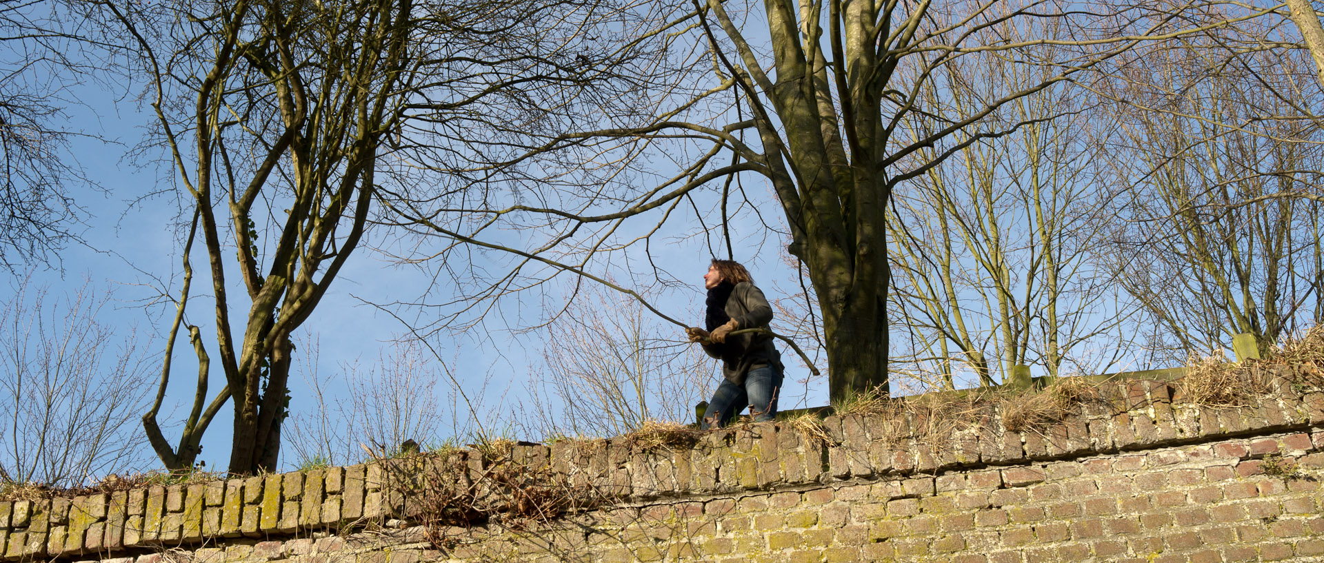 Elagage au Fort de Mons, à Mons en Baroeul.