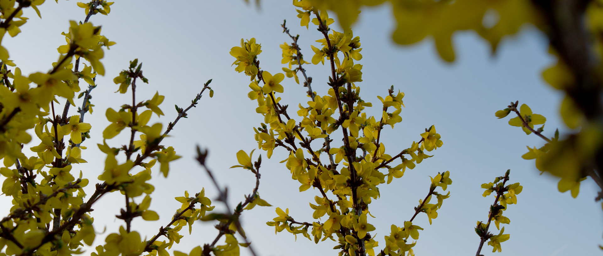 Printemps, à Croix.